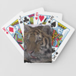 TIGER POKER DECK