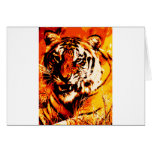 Tiger Portrait Greeting Cards