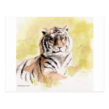 tiger post cards