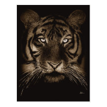Tiger Postcard