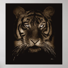 Tiger Print