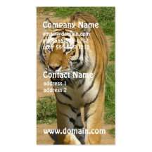 Tiger Prowl Business Cards