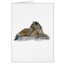 Tiger, Reclining Greeting Card