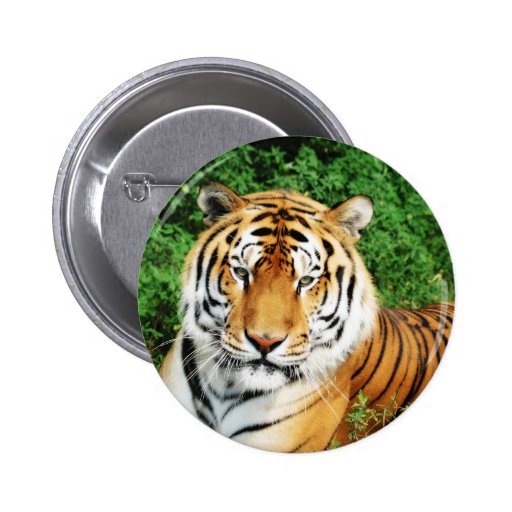 Tiger Relaxing Button