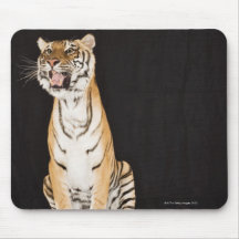 Tiger roaring mousepads