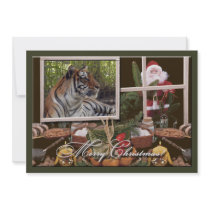 Tiger Sarmoti-c-58 copy Personalized Announcement
