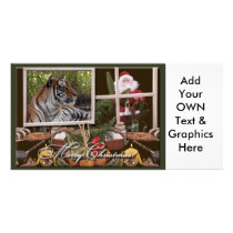 Tiger Sarmoti-c-58 copy Photo Greeting Card