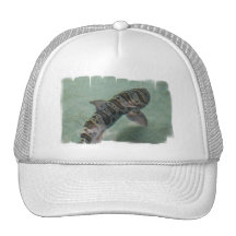 Tiger Shark Baseball Hat