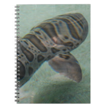 Tiger Shark Notebook