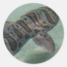 Tiger Shark Sticker