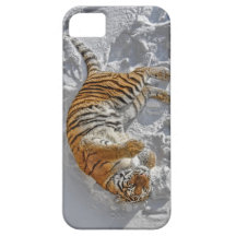 Tiger Snow Angel iPhone 5 Cases