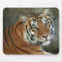 tiger stare mousemat