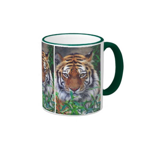 Tiger Stare Mug
