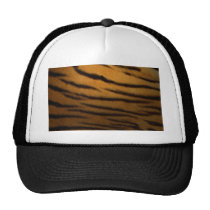 Tiger Stripes hats