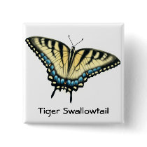 Tiger Swallowtail Butterfly Pin