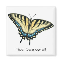 Tiger Swallowtail Butterfly Square Magnet