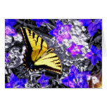 Tiger Swallowtail Greeting Cards