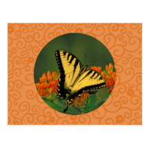Tiger Swallowtail Post Card