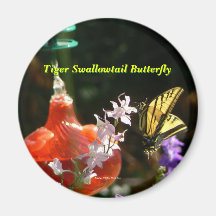 Tiger Swallowtail Refrigerator Magnet