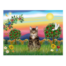 Tiger Tabby Cat 1 - Bright Country Post Card