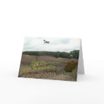 Tiger Tanks Cards