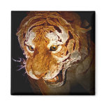Tiger, Tiger In The Night... Fridge Magnets