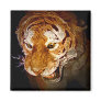 Tiger, Tiger In The Night... Fridge Magnets