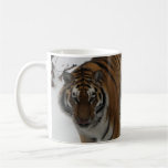 Tiger walking  in snow Mug mugs