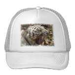 Tiger Yawn Baseball Cap Trucker Hat