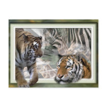 Tiger, Zebra, Giraffe, Lovers Gifts Postcard