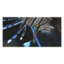 TigerFish Customized Photo Card