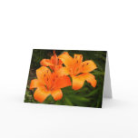 Tigerlily 2 Card