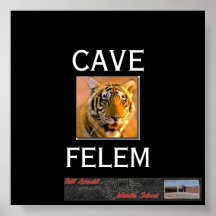 Tigernew, banner1, CAVERNE, FELEM Affiche