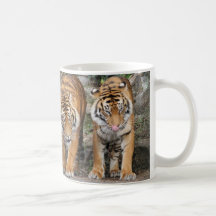Tigers at Auckland Zoo Mug