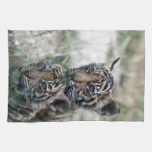 Tigers Cubs Towel