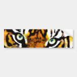 Tigers Eyes_ Bumper Sticker