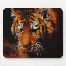 Tigers eyes mousepad