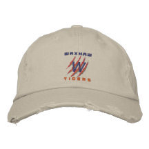 Tigers Fan Khaki Hat Embroidered Baseball Caps