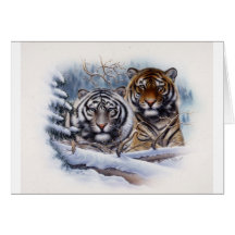Tigers in the Mist Greeting Cards
