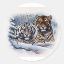 Tigers in the Mist Sticker