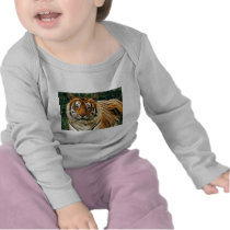 Tigers in the Wild Photos - Cards, Tees, Gifts