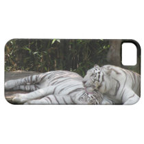 Tigers iPhone 5/iPhone 5S Barely There™ Case casemate cases
