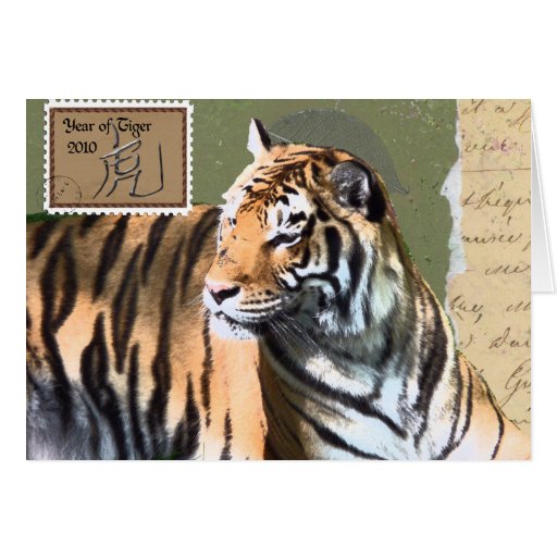 TIGERS Top 10 List-Year of the Tiger Greeting Card