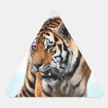 Tigers wild life stickers