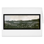 Tigers World Series Photo 1907 cards