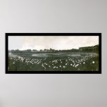 Tigers World Series Photo 1907 Poster