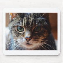 Tiggy. Mousepad