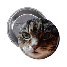 Tiggy. Pins