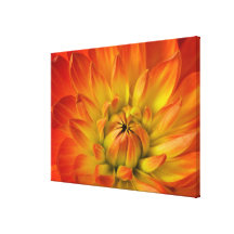 Tight in photographs of Dalhia flower with the 2 Canvas Prints