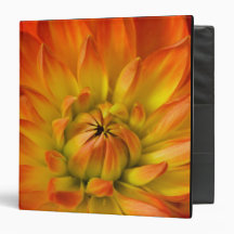 Tight in photographs of Dalhia flower with the Vinyl Binders